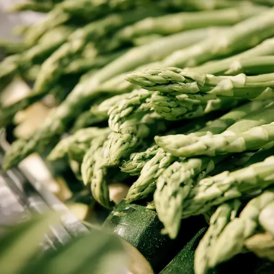 projektzeit event Eventagentur für Sommerfest 6